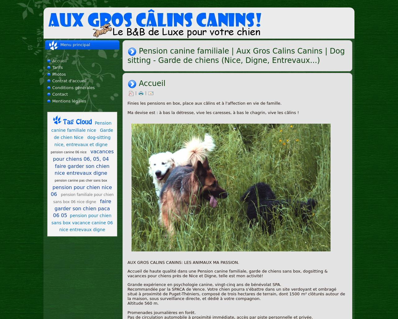 Site de l'image aux-gros-calins-canins.fr en 1280x1024
