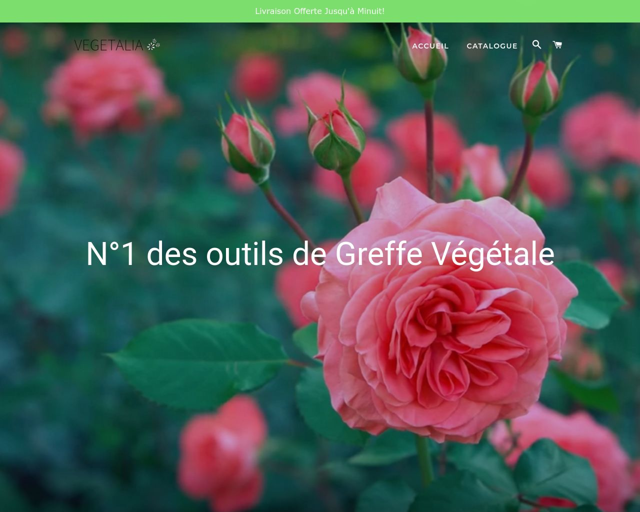 Site de l'image vegetalia.fr en 1280x1024